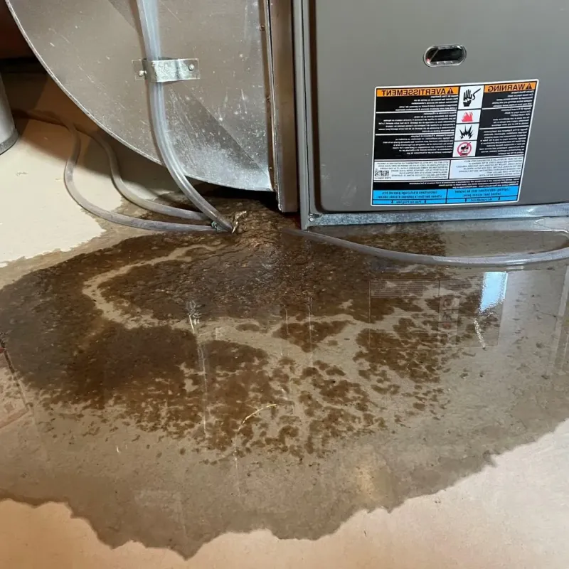 Pipe Burst and Leak Restoration in Tehachapi, CA