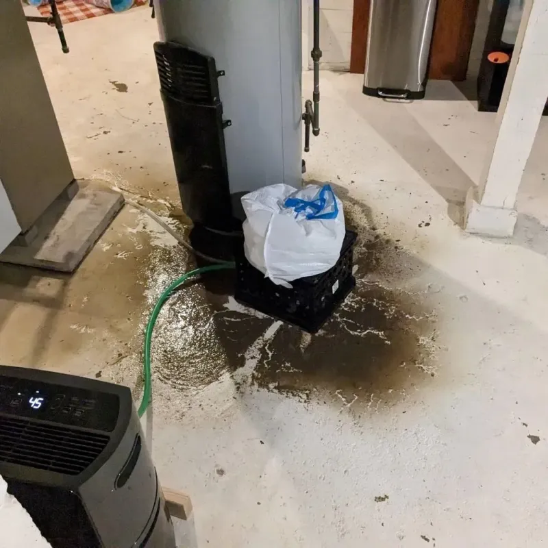 Sewage Backup Cleanup Service in Tehachapi, CA
